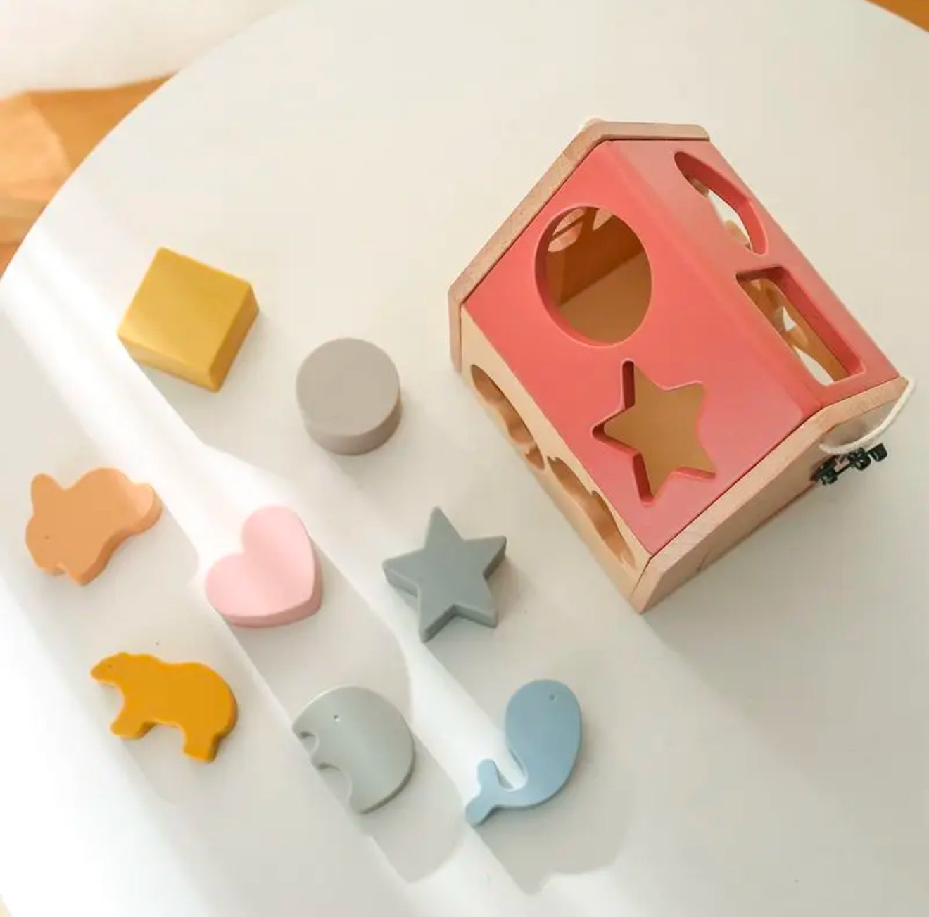 Montessori Shape House