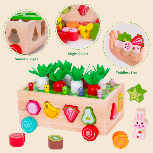 Montessori Garden Shape Sorter