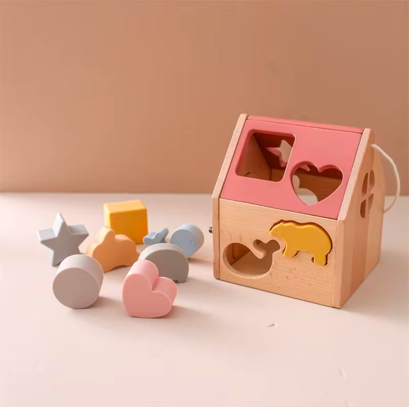 Montessori Shape House