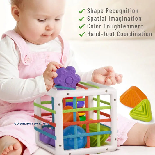 Montessori Colorful Shape Blocks